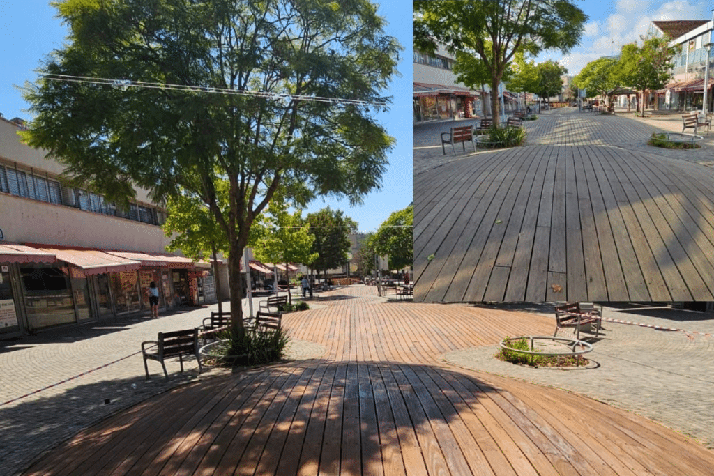 סוגי דק – כל הסיבות לבחור ריצוף דק עץ - עץ ועצה