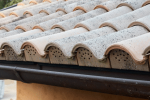 איךלבחורגגרעפים – חמישהטיפיםשלמומחיעץועצהלתכנוןנכון, איטוםועיצובמושלם, עץ ועצה