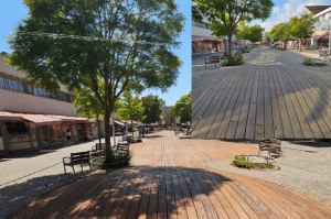 האביבהואזמןמושלםלהתחדשות – ובמיוחדלחידושהדק., עץ ועצה