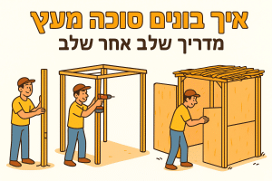 איך בונים סוכה מעץ: מדריך שלב אחר שלב