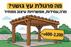 מהי פרגולת עץ גושני? מראה, עמידות, אפשרויות עיצוב ומחיר